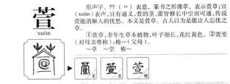 萱的名字|萱字宝宝起名取名：容光焕发、聪明伶俐的女孩名字精。